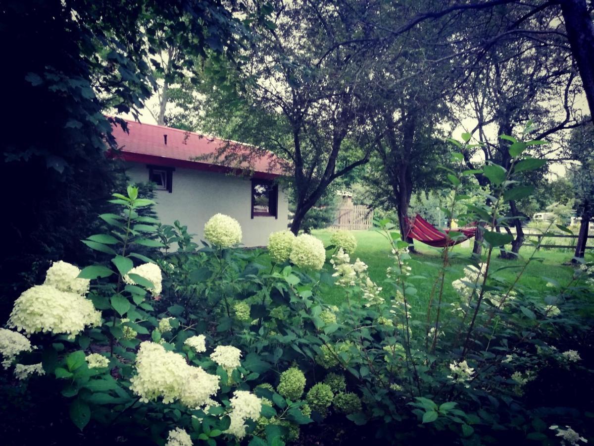 Babie Lato Villa Wlodarka Dış mekan fotoğraf
