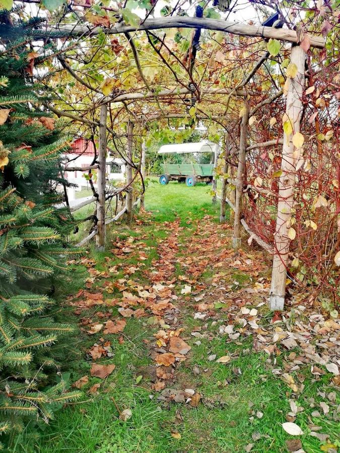 Babie Lato Villa Wlodarka Dış mekan fotoğraf