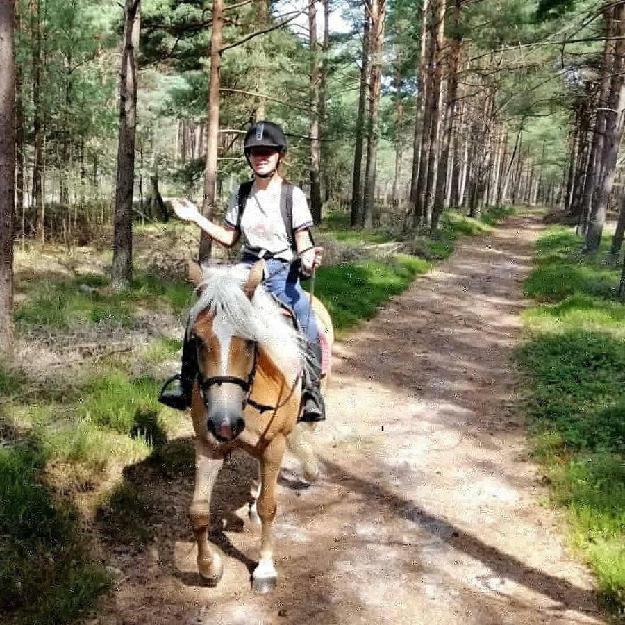 Babie Lato Villa Wlodarka Dış mekan fotoğraf