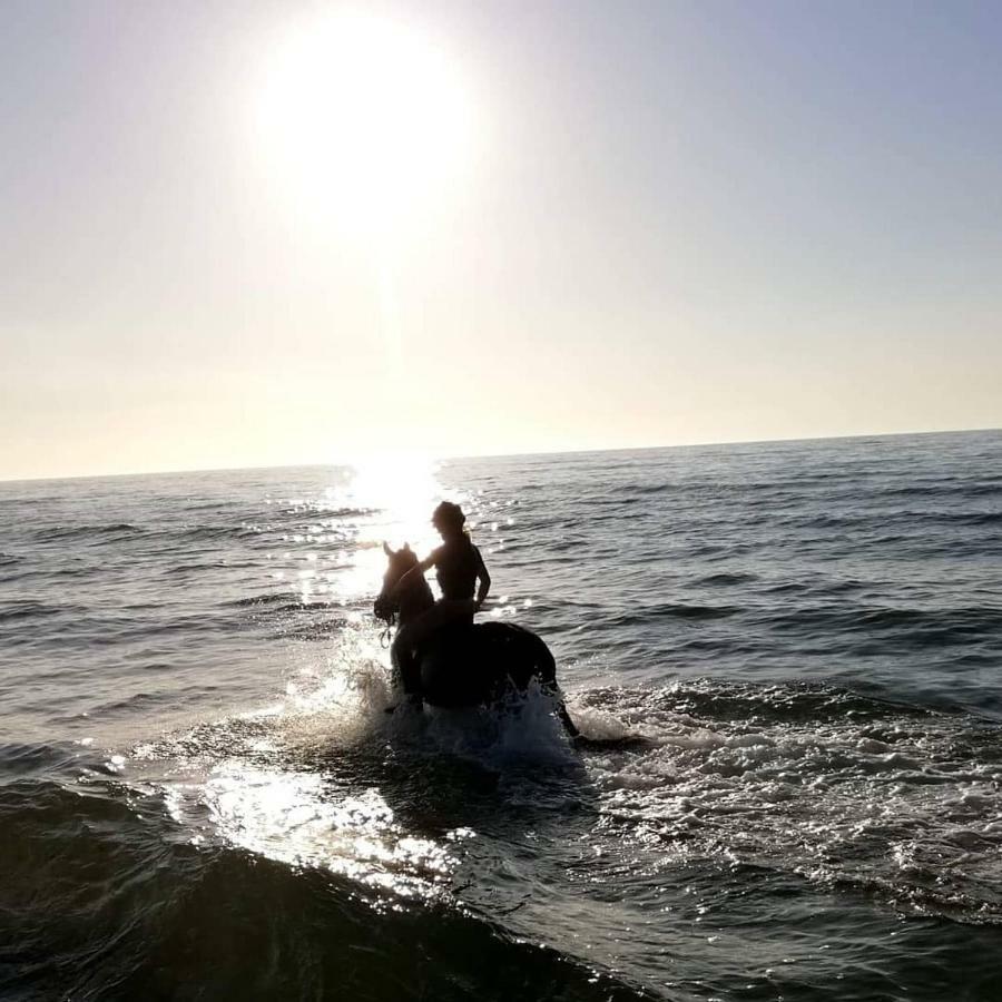 Babie Lato Villa Wlodarka Dış mekan fotoğraf