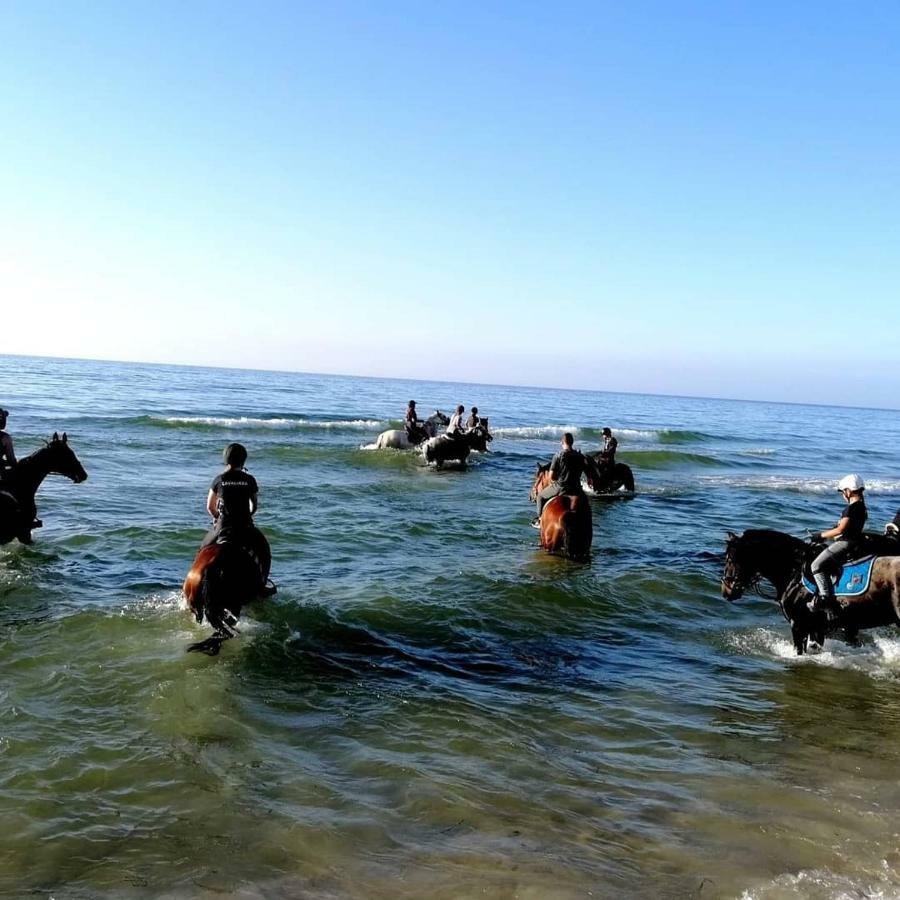 Babie Lato Villa Wlodarka Dış mekan fotoğraf